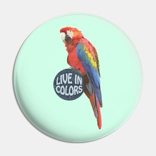 Parrot Live in colors Pin