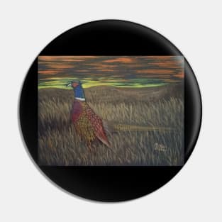 Rooster Pheasant at Sundown Pin