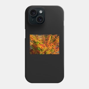 Orange red yellow green Berberis leaves background Phone Case