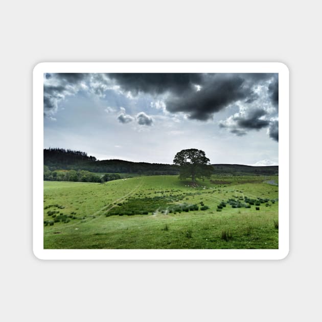 The contrast of midday -  farmland near Crieff, west perthshire, Scotland, UK Magnet by richflintphoto