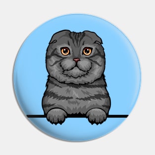 Scottish Fold Cat Pin