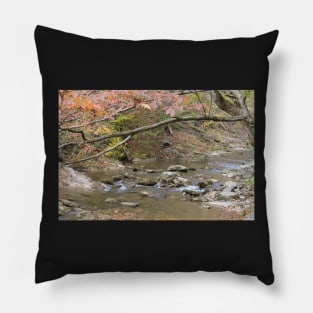 Autumn scene in Natural Bridge, Virginia Pillow