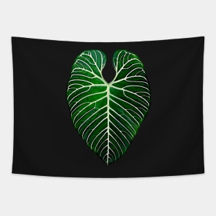 ANTHURIUM REGALE Tapestry