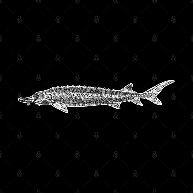 European Sea Sturgeon handmade fish drawing on black by Green Paladin