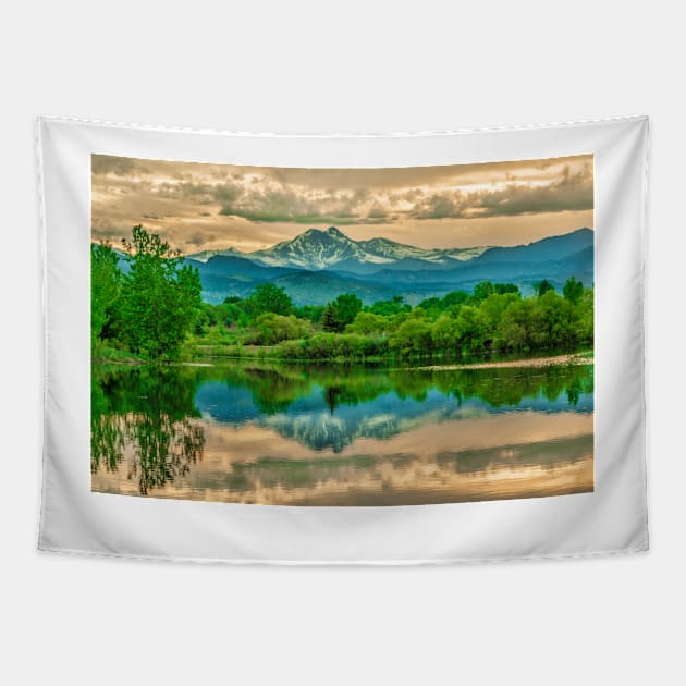 Golden Ponds Reflections Tapestry by nikongreg