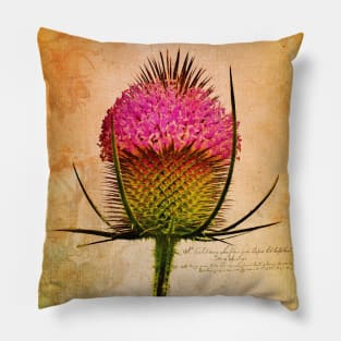 The Teasel Pillow