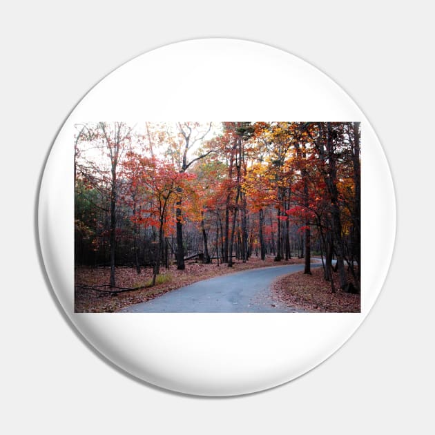 A Journey Through Fall Pin by Cynthia48