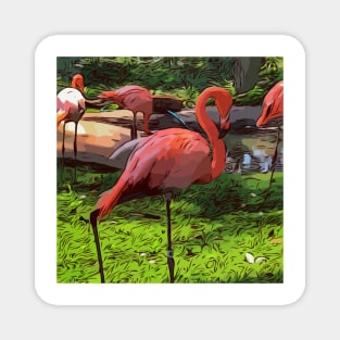 Pink flamingos Magnet