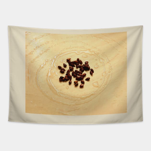 Apple seeds Tapestry by NxtArt