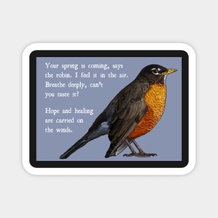 Robin Get Well Soon Message, Harbinger of Spring (Light Blue Background) Magnet