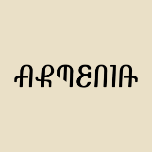 ARMENIA (in Armenian looking font) T-Shirt