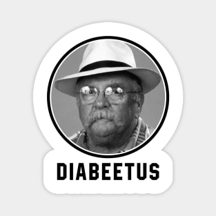 Diabeetus Magnet