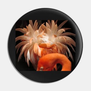 Caribbean Flamingo Pin