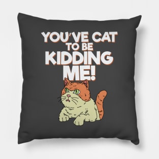 You've Cat to be Kidding Me Pillow