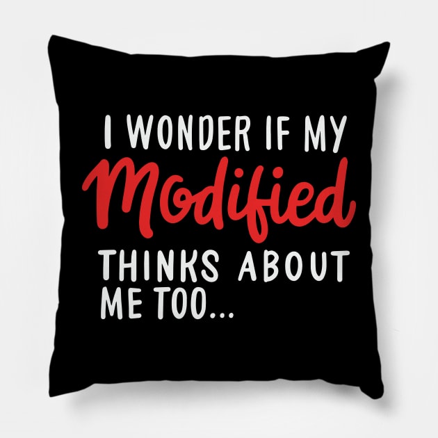 I Wonder If My Modified Thinks Of Me Too Pillow by seiuwe