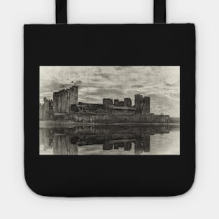 Reflections Of Caerphilly Castle Tote