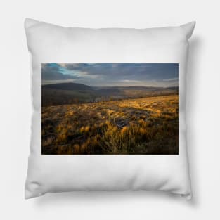 Welsh Hills of Gold - 2013 Pillow