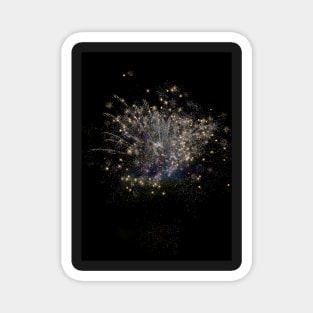 New Year Fireworks Magnet