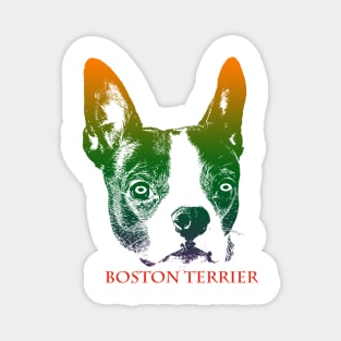 The boston terrier head is Violet, Green, Orange Magnet