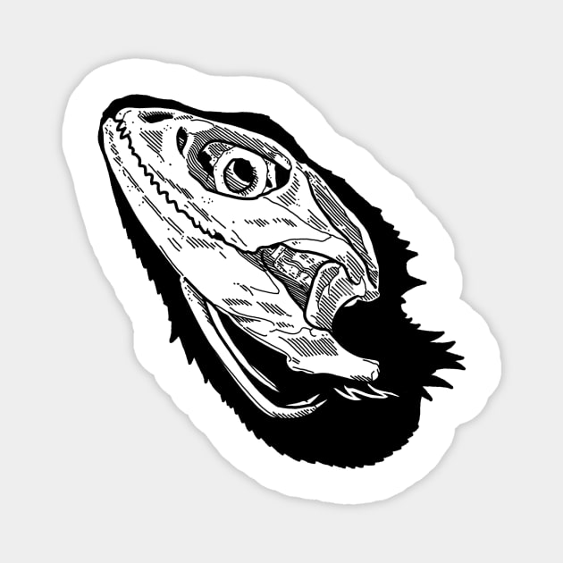 Beardie Skull Magnet by Art by the Lizard Lady