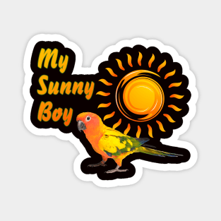 Sun Conure Parrot Sunny Sunshine Boy Magnet