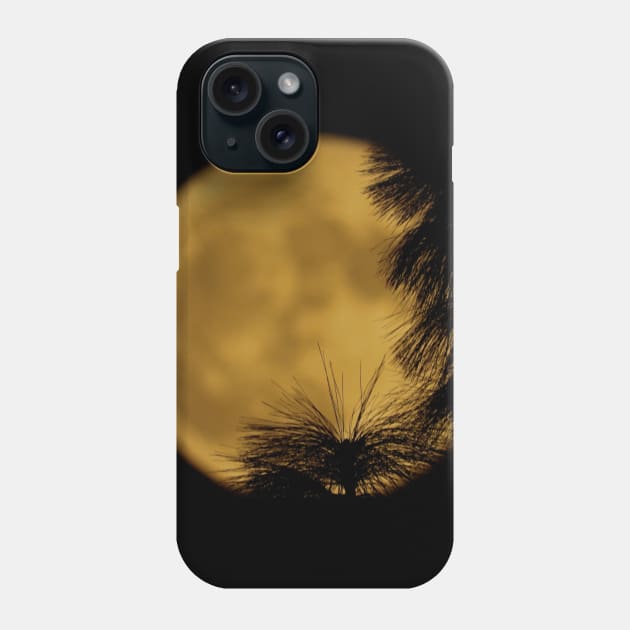 Moon Shot Phone Case by RobertsArt