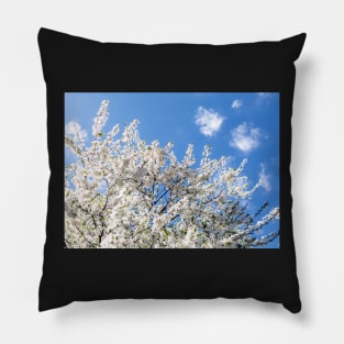 Cherry tree blossom Pillow