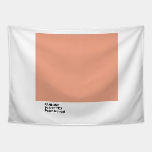 pantone 14-1220 TCX Peach Nougat Tapestry