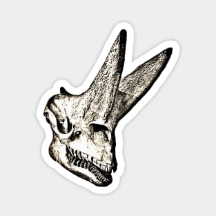 Dinosaur Skull Mono Magnet