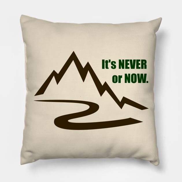 It's Never or Now Pillow by Stars Hollow Mercantile