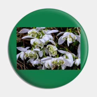 Woodland snowdrops Pin