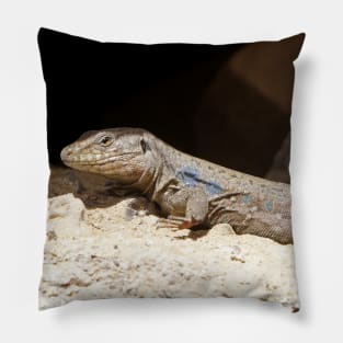 Gallotia Galloti (Male Tenerife Lizard) Pillow