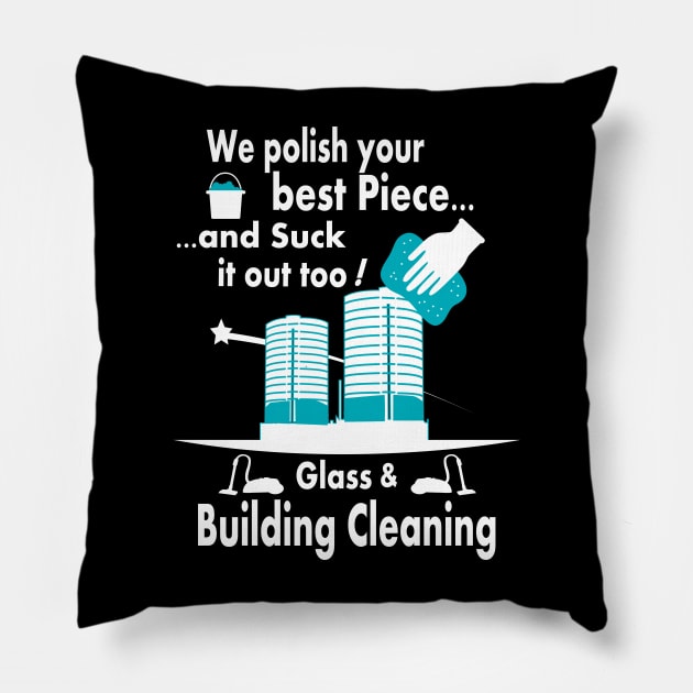 Glass & Building Cleaning Pillow by BC- One- Shop