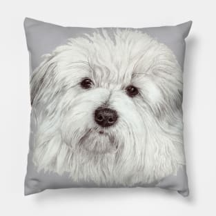 Coton de tulear Pillow