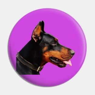 Doberman Pinscher Real life Portrait Pin