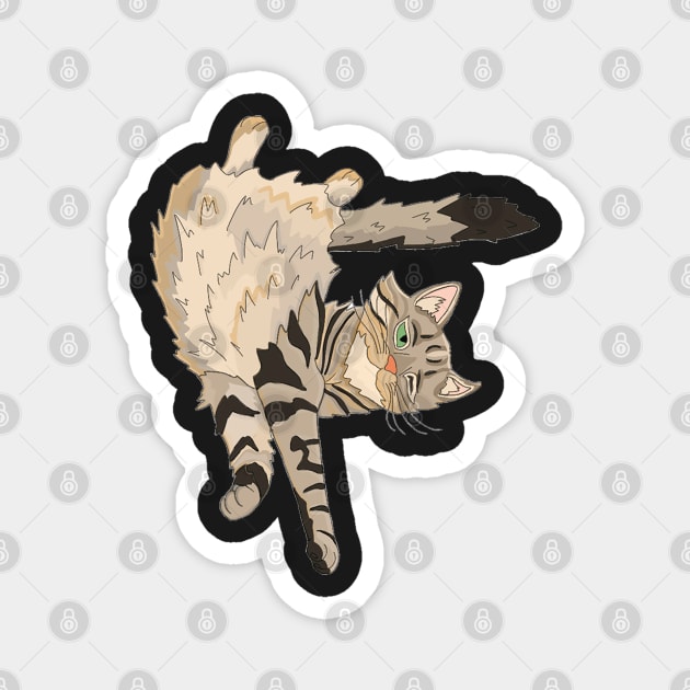 Maine Coon Cat Magnet by the-artsy-park