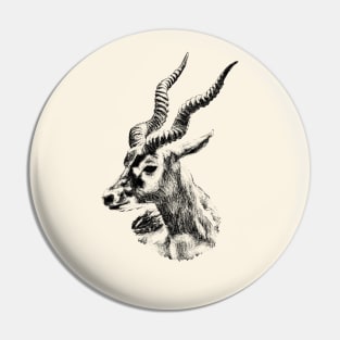 Blackbuck Pin