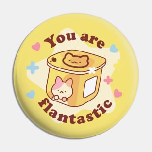 You Are Flantastic Pin