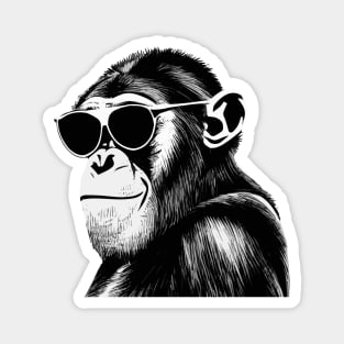 Chimpanzee with sunglasses Magnet