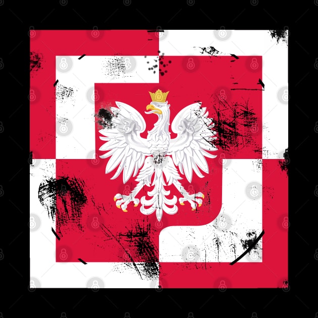 Polish Aircraft Insignia by Historia