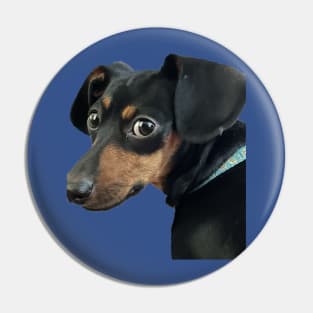 Doggie Expressions Pin