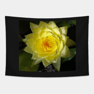 Yellow Lotus of Your Heart Tapestry