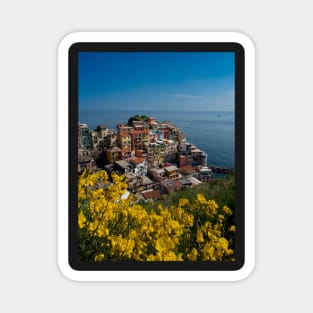 View on the cliff town of Manarola, one of the colorful Cinque Terre on the Italian west coast Magnet