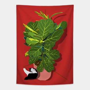 Cute tuxedo cat and Fiddle Leaf Fig Tree Copyright TeAnne Tapestry