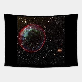 Ornament Nebula Tapestry