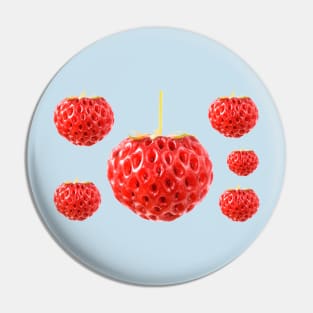 Fragaria x ananassa &#39;Framberry&#39; Strawberry Pin