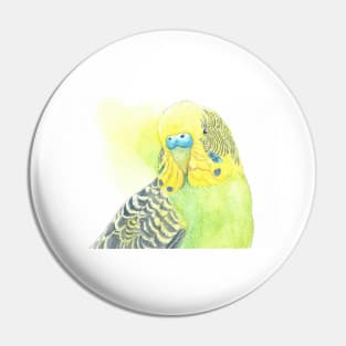 Watercolor green and yellow budgies - parakeet painting portrait with back wash Pin