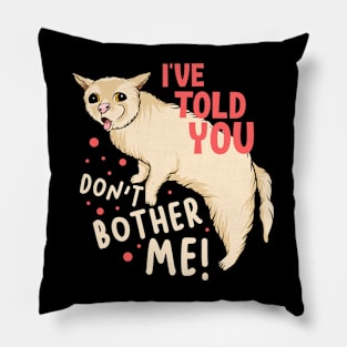 I've Told You Don't Bother Me Pillow