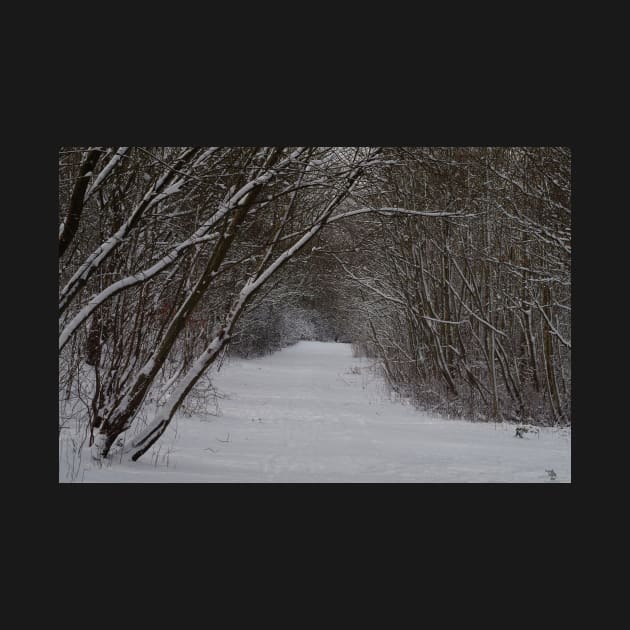 snow uk 2018 tree tunnel beast from the east by Simon-dell