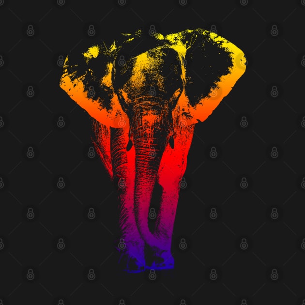 colored elephant by hottehue